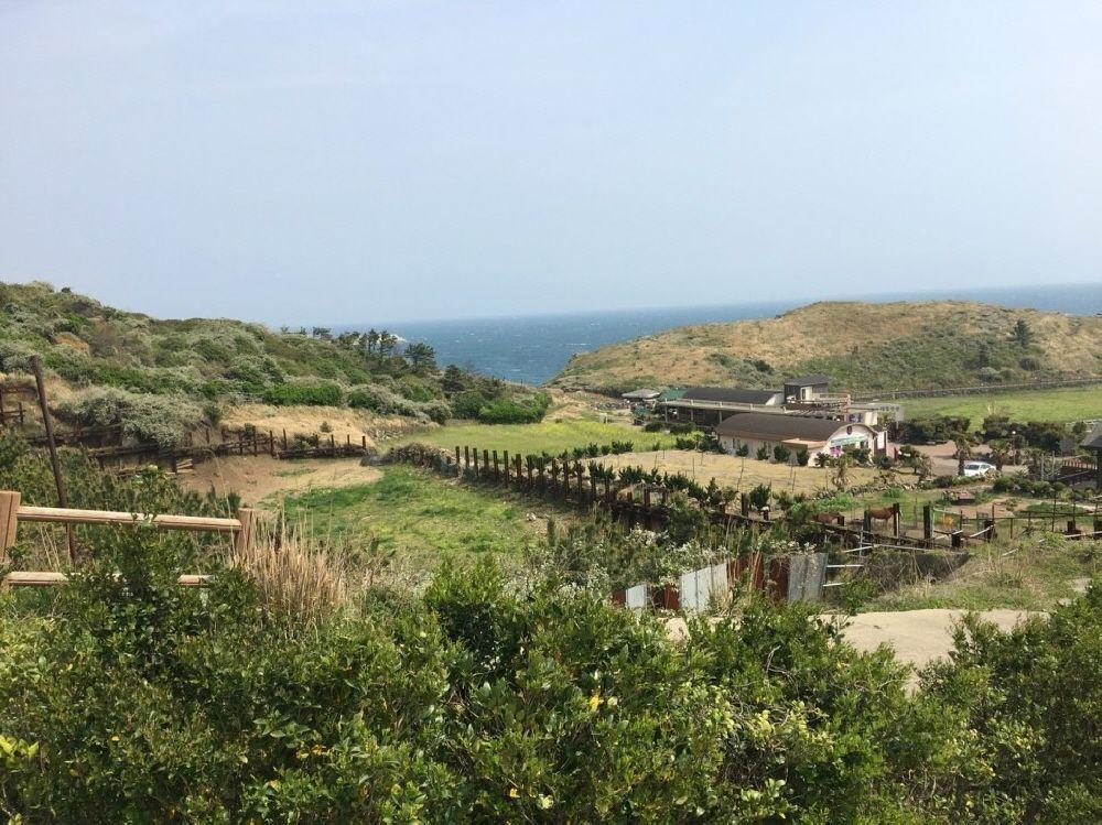 壯麗的濟州島龍頭海岸，全景展示了這個獨特的自然景觀，吸引許多觀光旅客